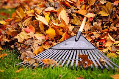 Seasonal Lawn Care Tools