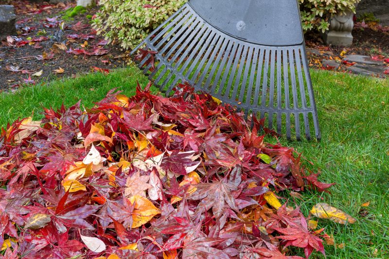 Efficient Fall Cleanup Tools