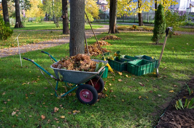 Leaf Clearing Equipment