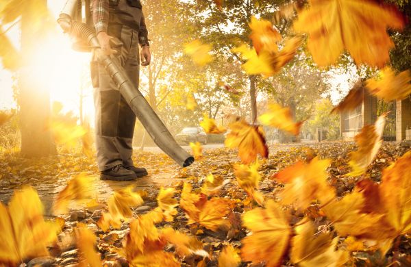 Leaf Blowing Service in Edmonds