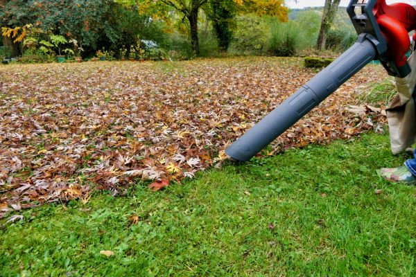 Leaf Vacuuming Service in Edmonds