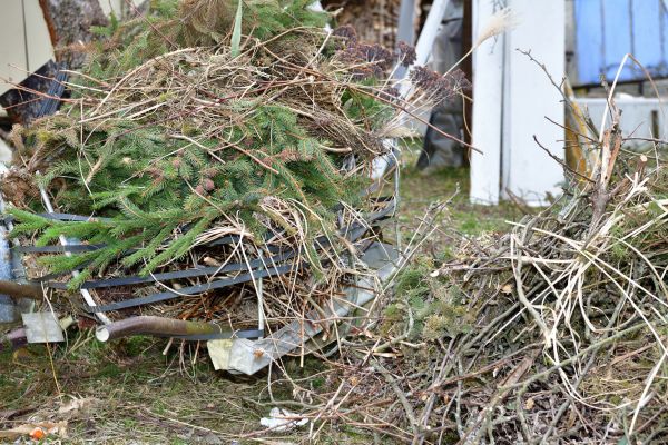 Yard Debris Removal in Edmonds
