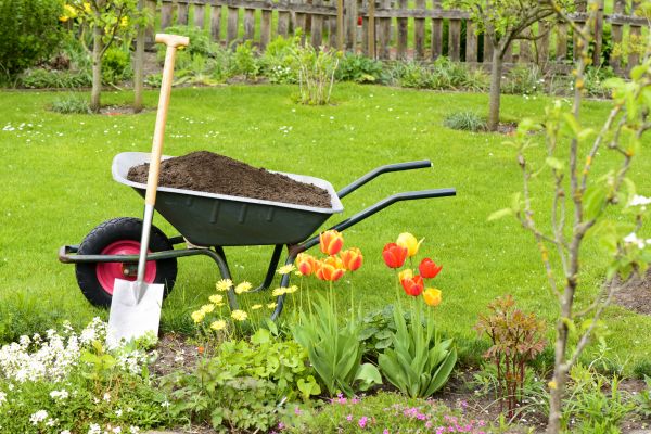 Spring Yard Cleanup in Edmonds