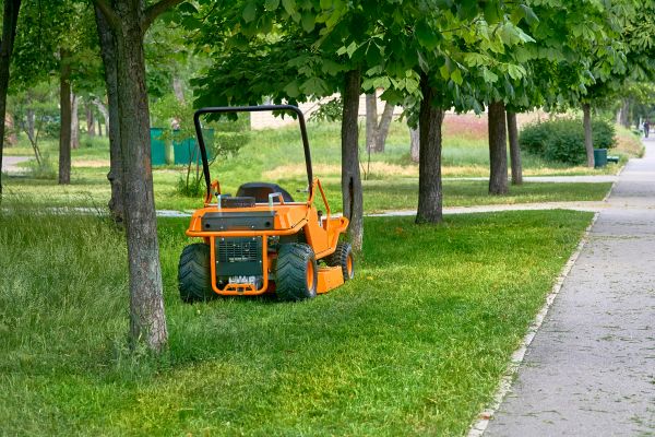 Landscaping Cleanup Service in Edmonds