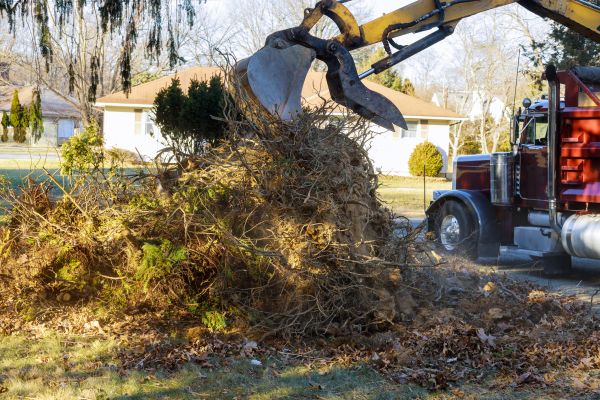 Storm Debris Removal in Edmonds