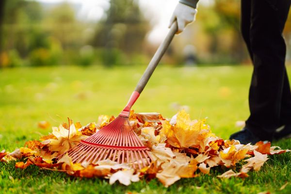 Ditch Leaf Removal in Edmonds