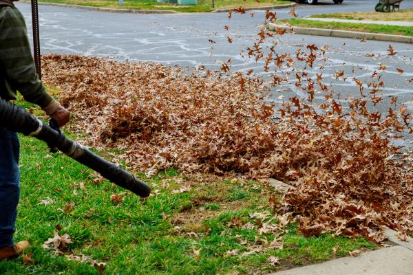 Garden Leaf Removal in Edmonds