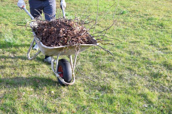 Yard Brush Removal in Edmonds