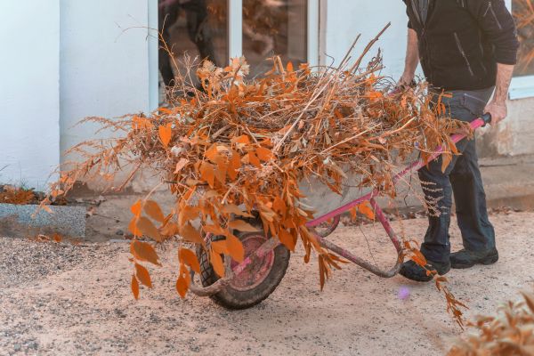 Lawn Debris Cleanup in Edmonds