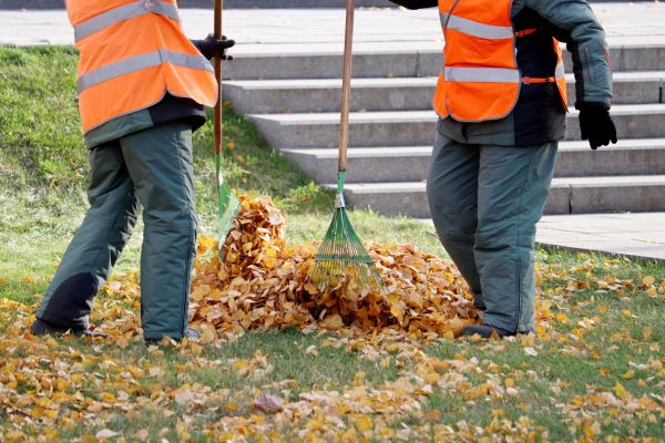 Leaf Hauling Service in Edmonds