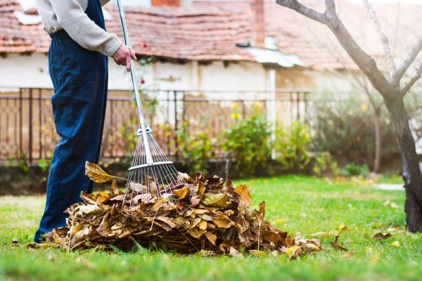 Spring Lawn Cleanup in Edmonds