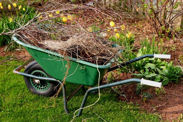 Lawn Waste Removal in Edmonds