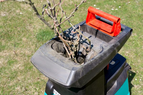 Brush Cleanup Service in Edmonds