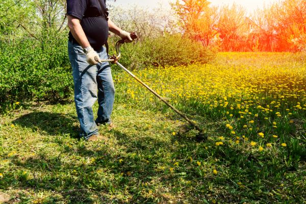 Cost of Yard Clearing Service in Edmonds