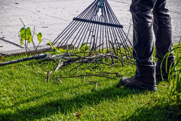 Yard Debris Cleanup in Edmonds