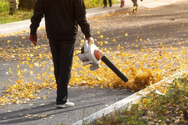 Commercial Leaf Removal in Edmonds